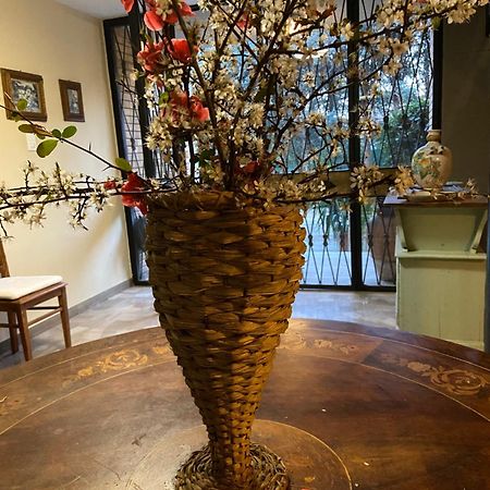 Basisa Bed&Breakfast ซานลาซโซโร ดี ซาเวนา ภายนอก รูปภาพ