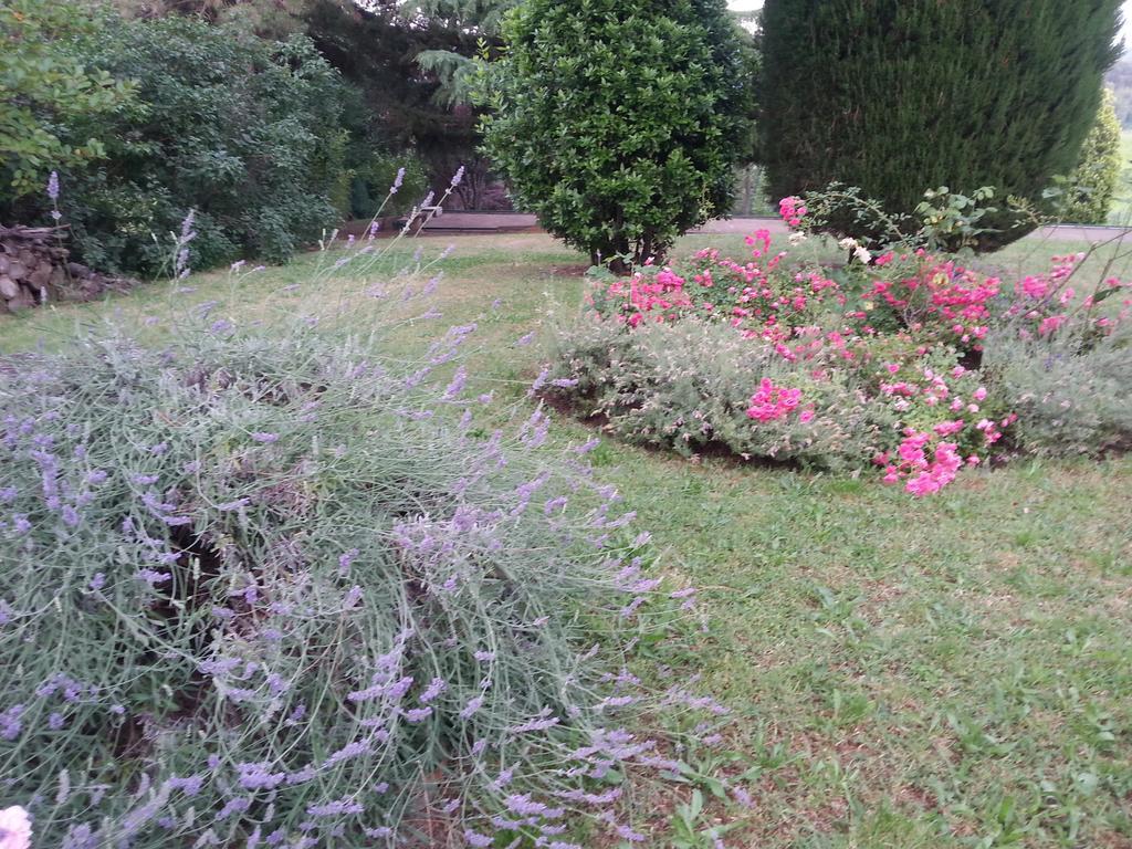 Basisa Bed&Breakfast ซานลาซโซโร ดี ซาเวนา ภายนอก รูปภาพ