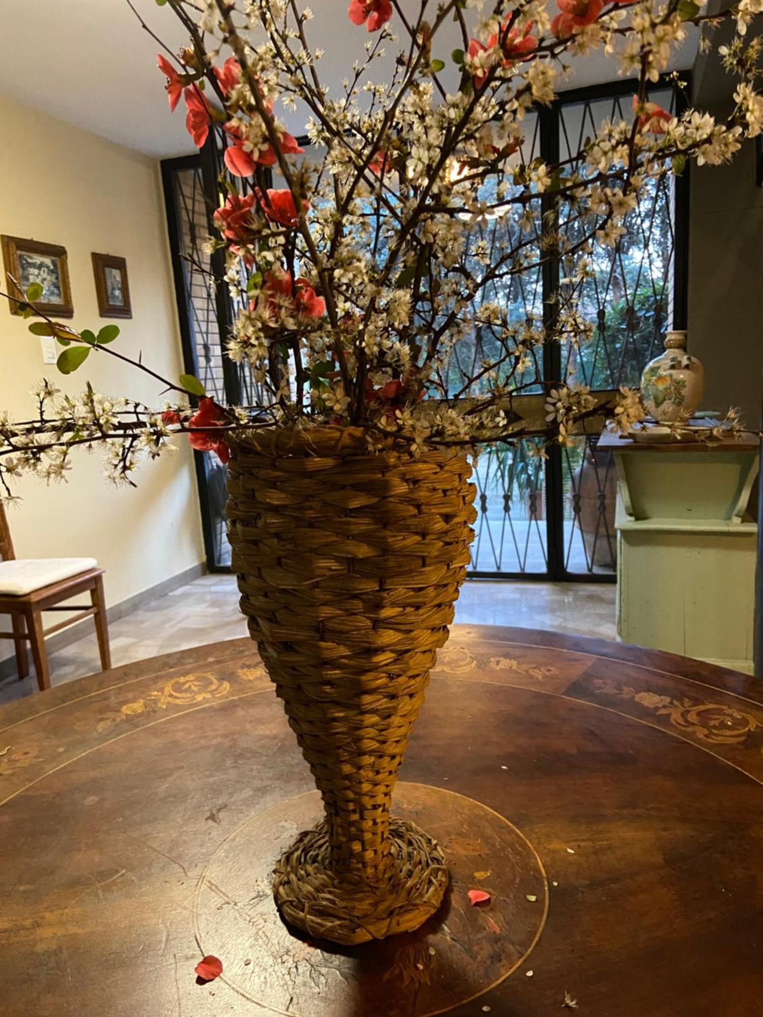 Basisa Bed&Breakfast ซานลาซโซโร ดี ซาเวนา ภายนอก รูปภาพ