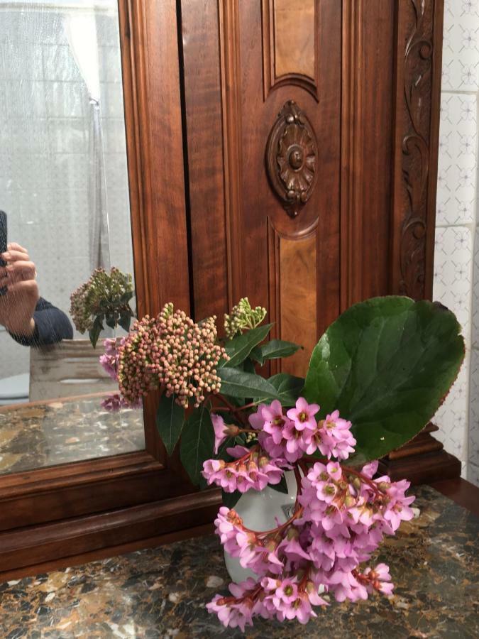 Basisa Bed&Breakfast ซานลาซโซโร ดี ซาเวนา ภายนอก รูปภาพ