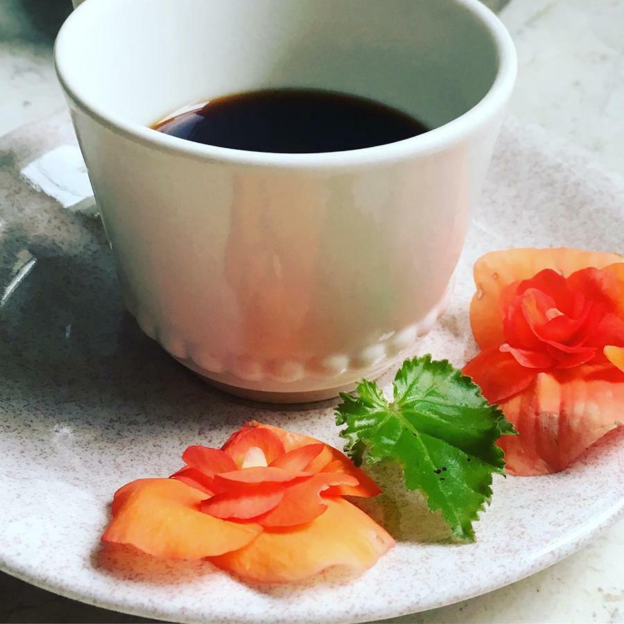 Basisa Bed&Breakfast ซานลาซโซโร ดี ซาเวนา ภายนอก รูปภาพ